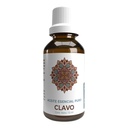 ESENCIA DE CLAVO 15ML LEMON COCHELLA