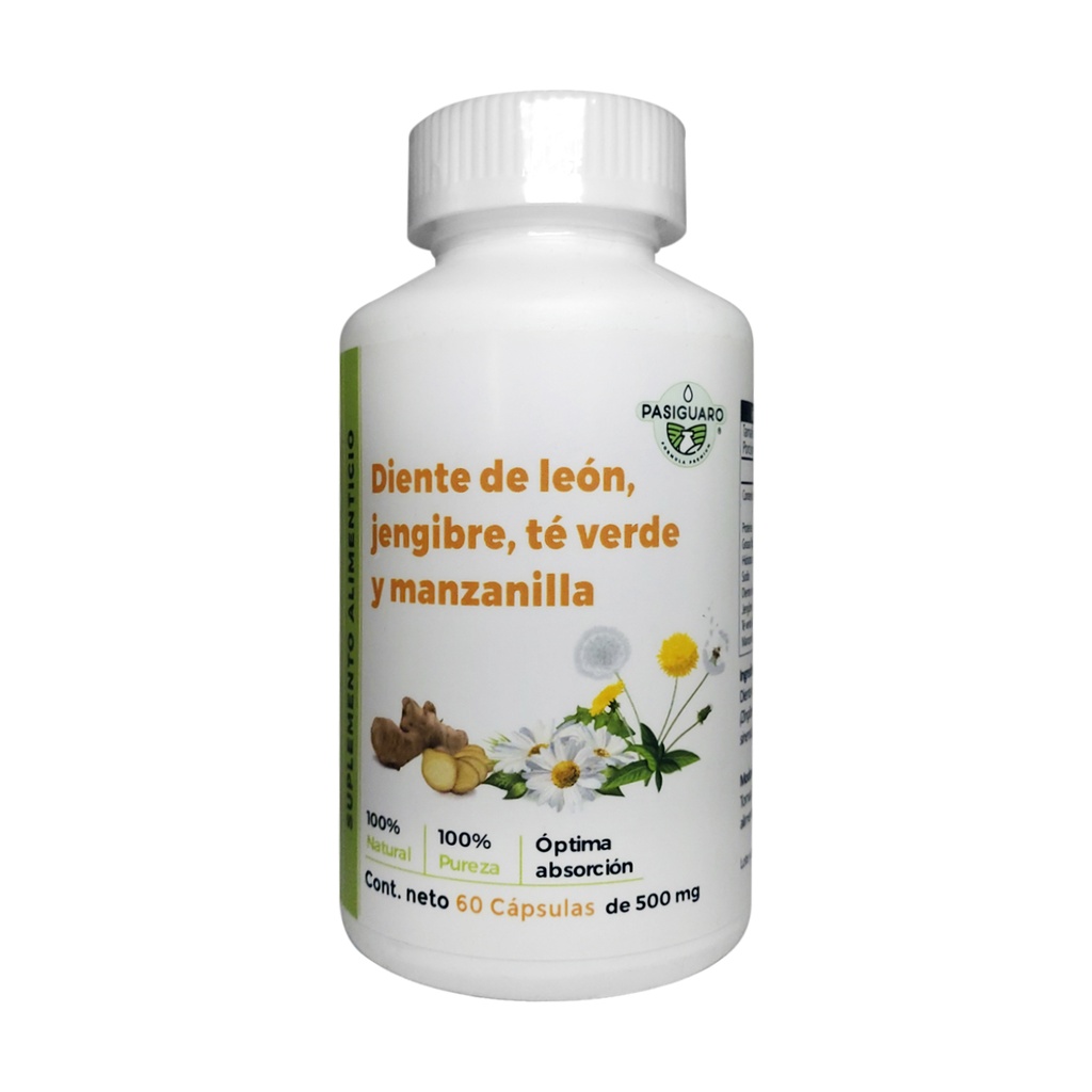 COLA DE CABALLO JENGIBRE TÉ VERDE Y MANZANILLA 60 CAPS PASIGUARO