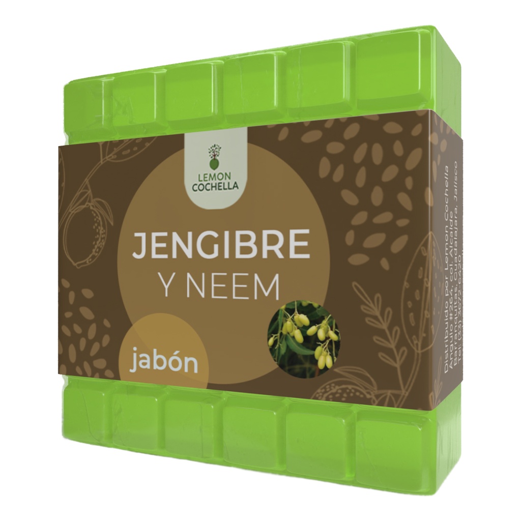 JABÓN JENGIBRE Y NEEM LEMON COCHELLA