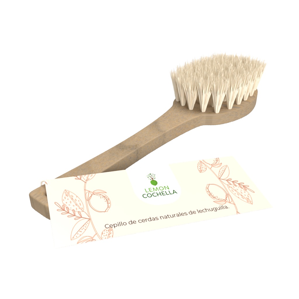 CEPILLO CUADRADO CHICO LEMON COCHELLA