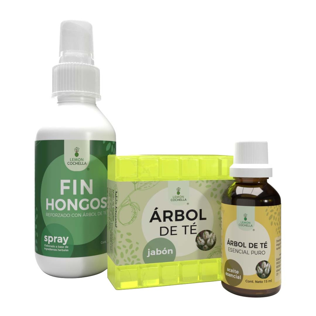 COMBO ÁRBOL DE TÉ