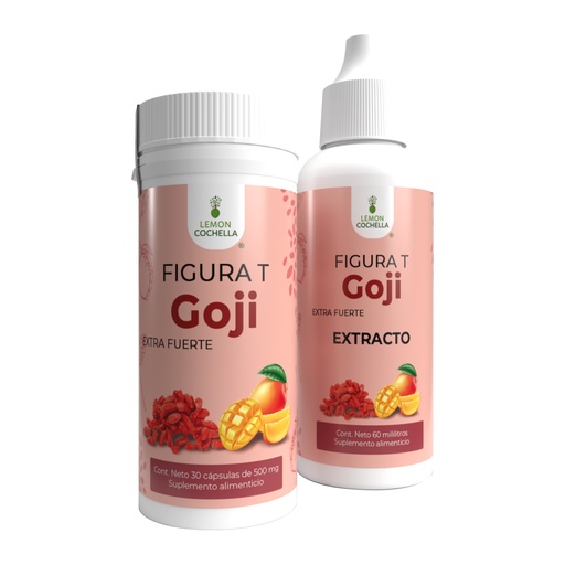 [2527] COMBO FIGURA T GOJI